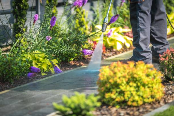 Trusted Flat Rock, MI  Pressure Washing Services Experts