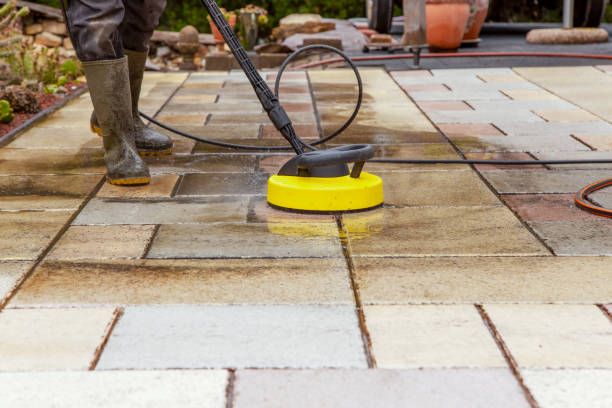 Best Warehouse Cleaning  in Flat Rock, MI