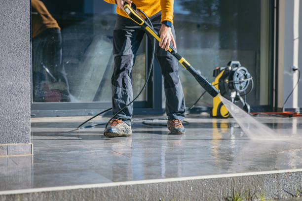 Best Roof Washing  in Flat Rock, MI