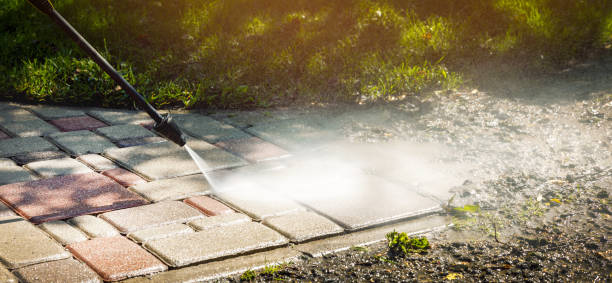 Best Spring Cleaning  in Flat Rock, MI