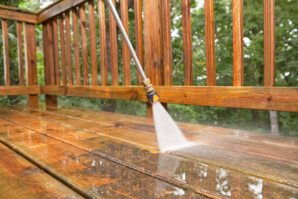 Best Dumpster Area Cleaning  in Flat Rock, MI
